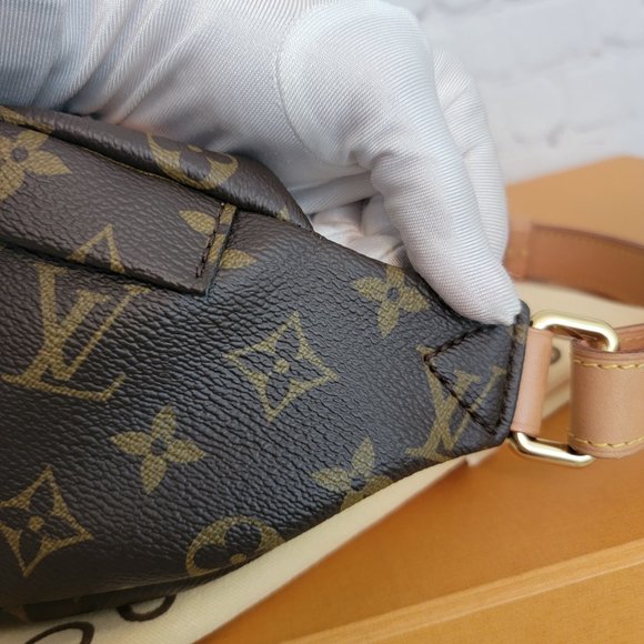 Louis Vuitton Bum Bag Monogram - Picture 11 of 16